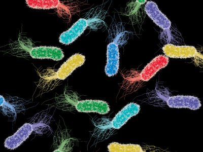 cylinder shaped colourful microbes with hair coming from them forming a tail on a black background